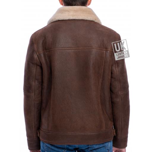 Mens Shearling Sheepskin Flying Jacket - Calgary - Chestnut Brown - Back