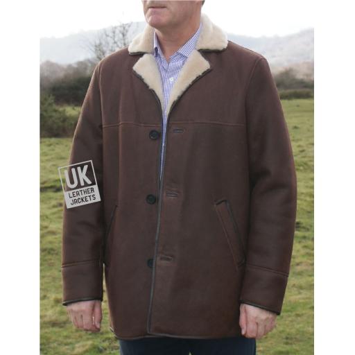 Mens Brown Sheepskin Car Coat - Foxhill - Cream Wool - Button Front