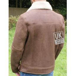 Mens Shearling Sheepskin Flying Jacket - Calgar - Chestnut Brown - Waist Straps