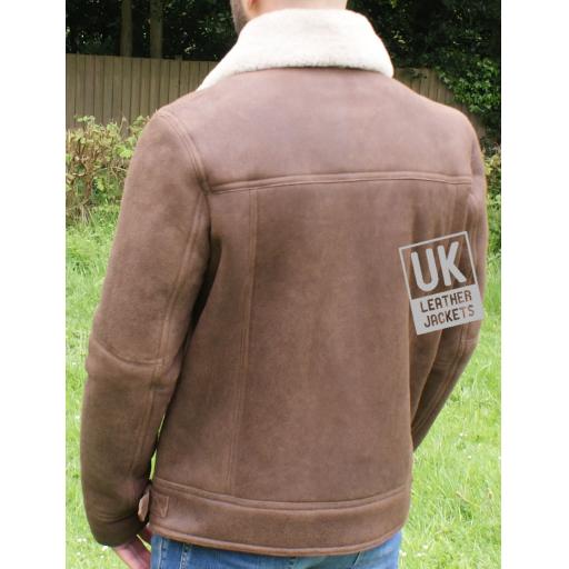 Mens Shearling Sheepskin Flying Jacket - Calgar - Chestnut Brown - Waist Straps