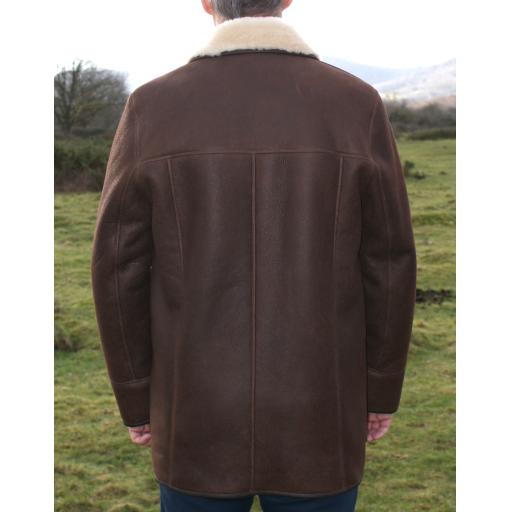 Mens Brown Sheepskin Car Coat - Foxhill - Superior Quality - Cream Wool - Back 