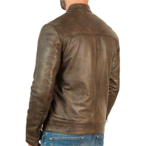 Men's Brown Leather Jacket - Classic Short Collar - Back panel